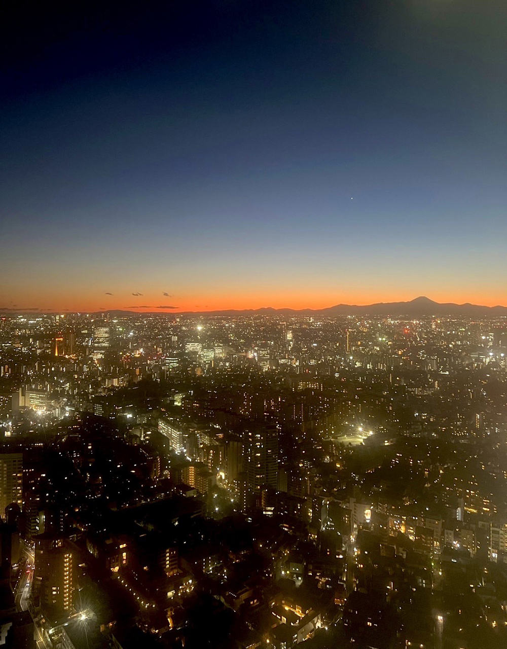 トランク|新潟市|スタッフ募集