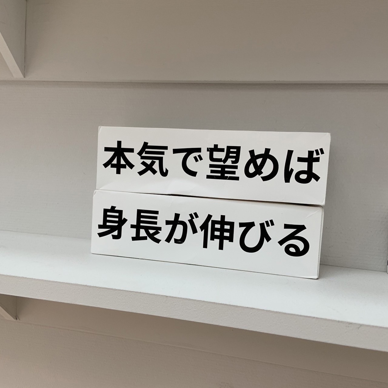 トランク｜新潟市｜スタッフ募集